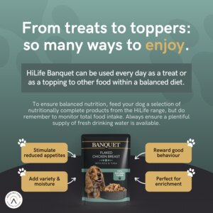 Dog wet topper food for everyday diet, from treats to extra flavour.